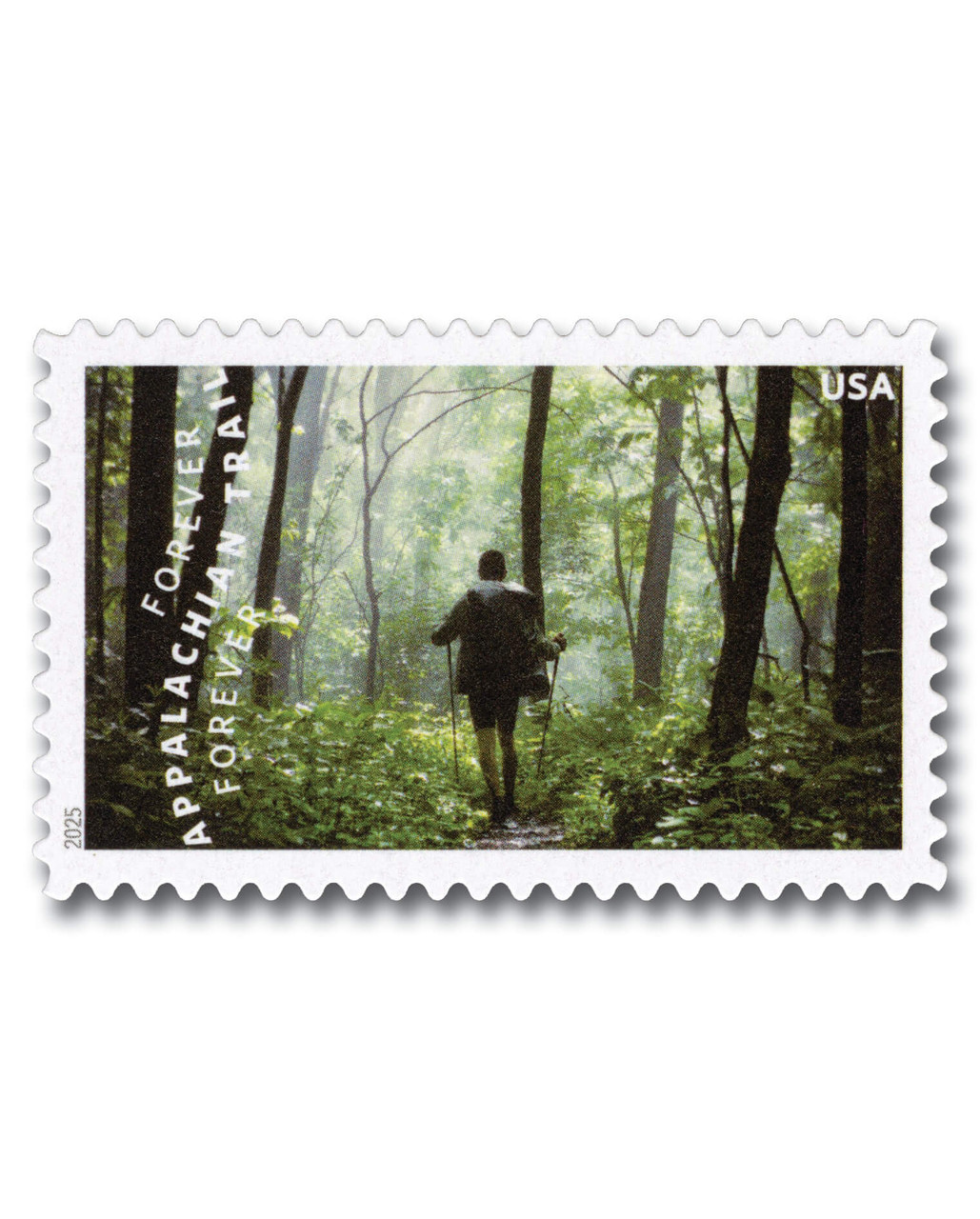 1637419__40444.1744296000