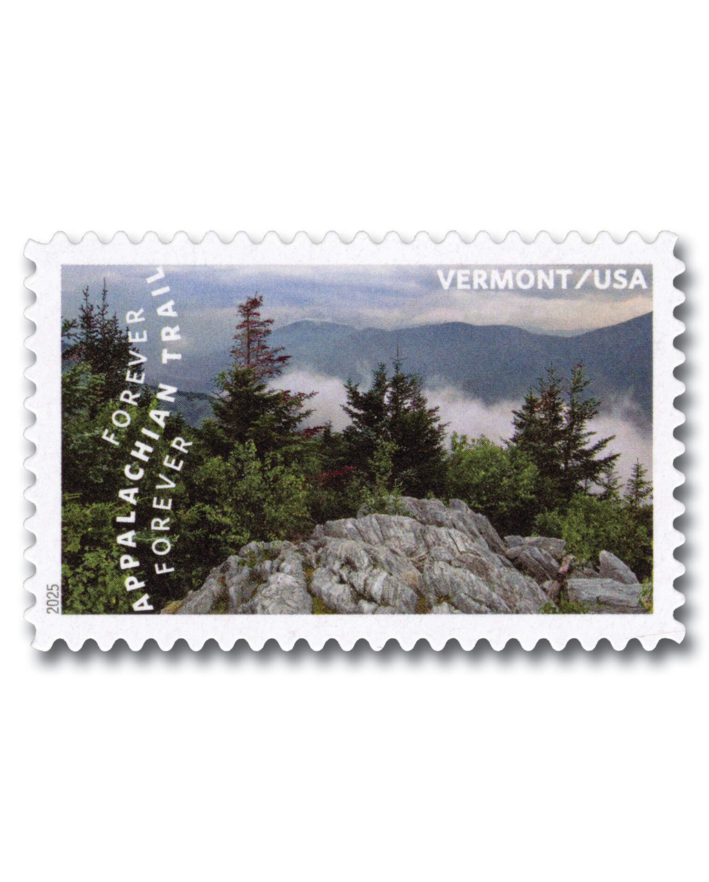 1637431__61080.1744296019