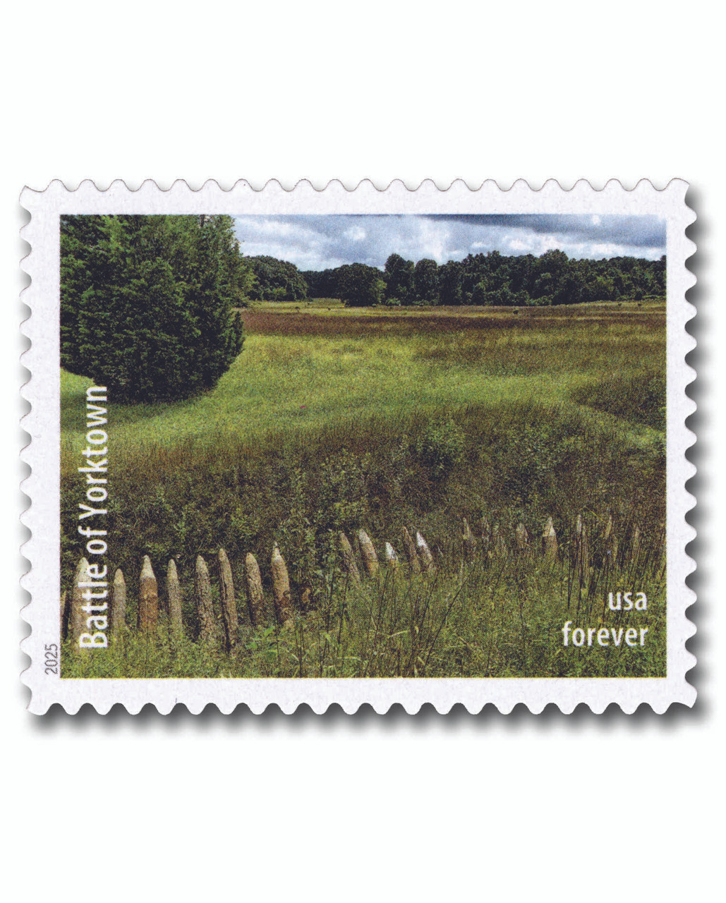 1652565__64152.1749828551