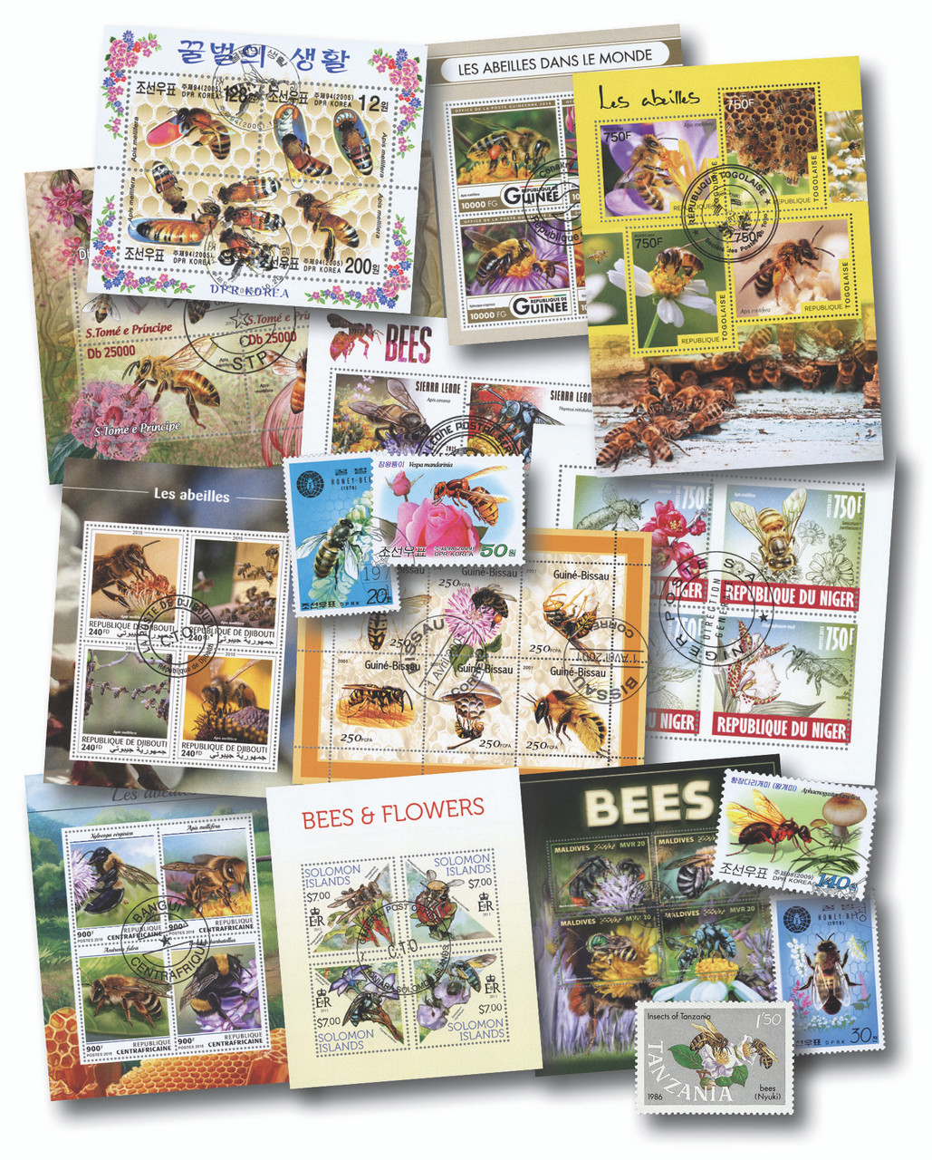 1687702__19779.1761320920