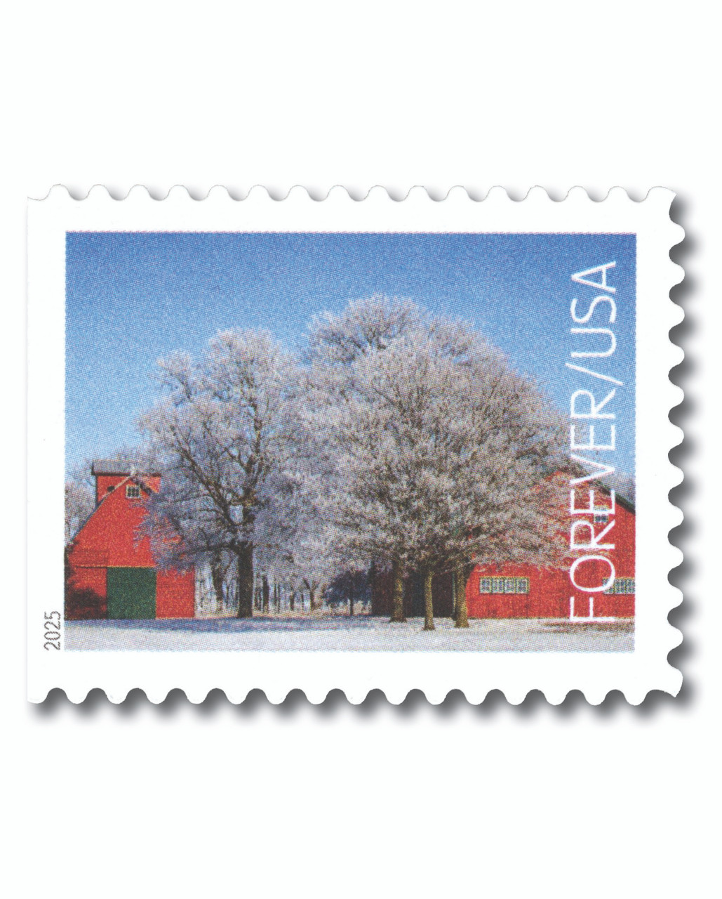 1693989__64693.1763497377