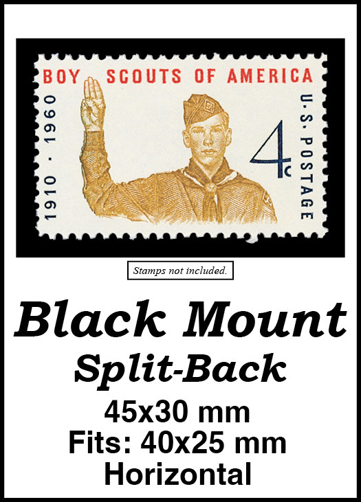 281495__12022.1748570199