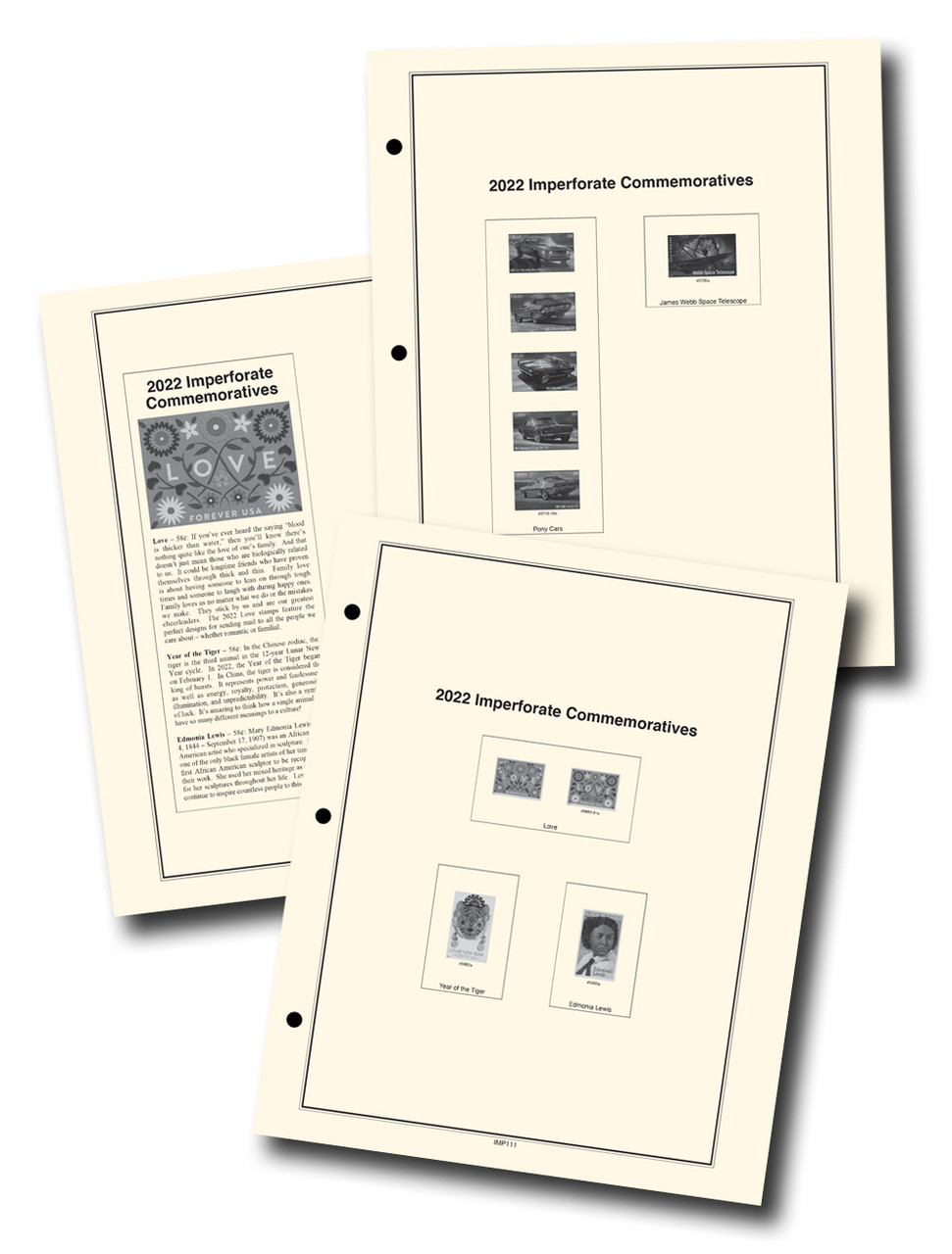 USA-GS803__23396.1738094912