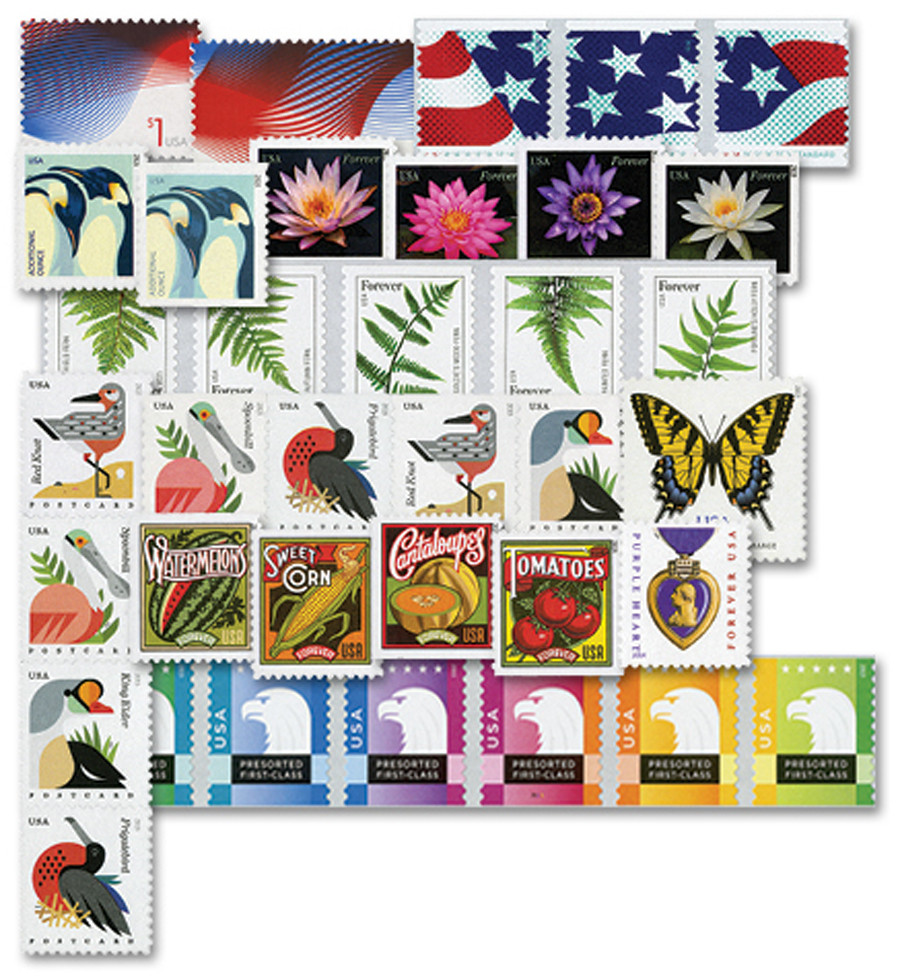 USA-YS2015D__33891.1738105913